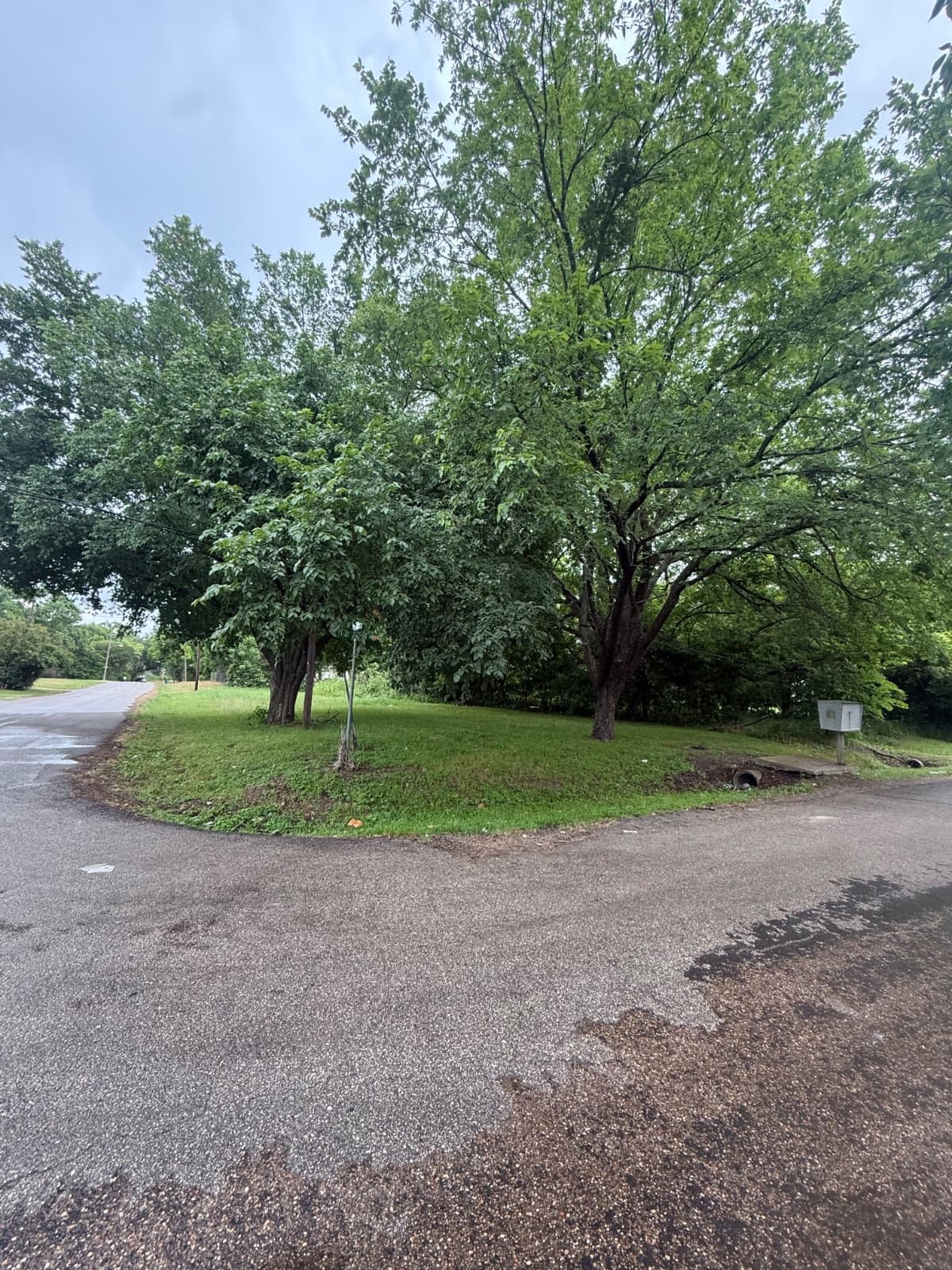 Corsicana TX